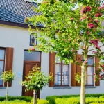 big_fullsizeoutput_967 (1)