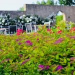 big_fullsizeoutput_972